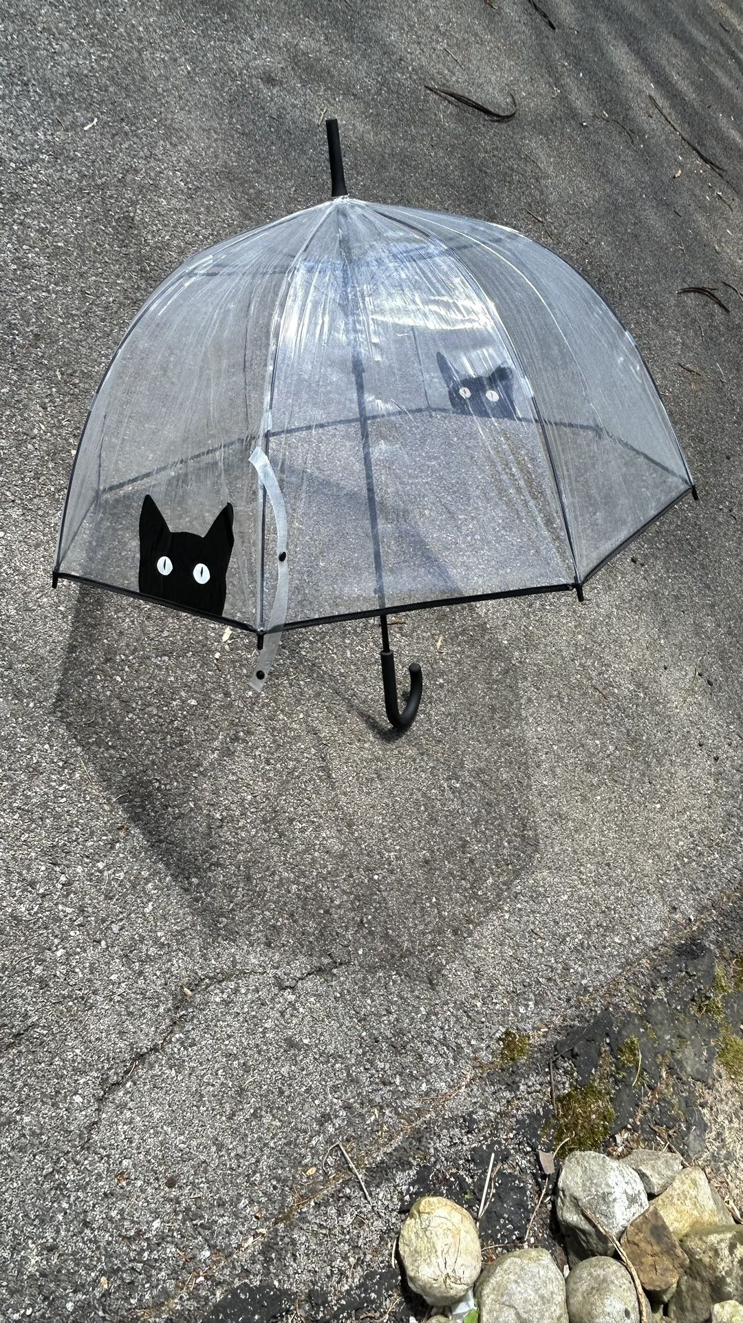Clear, Black Cat Umbrella