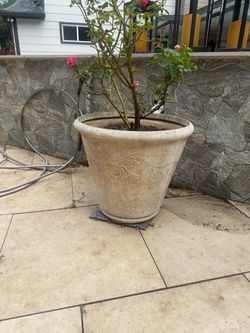 Large Decorative Outdoor Planter Pot