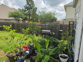 Instant Garden Best offer