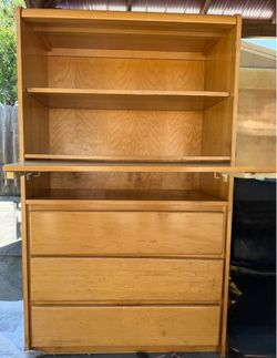 Cabinet/ Bookcase/Storage