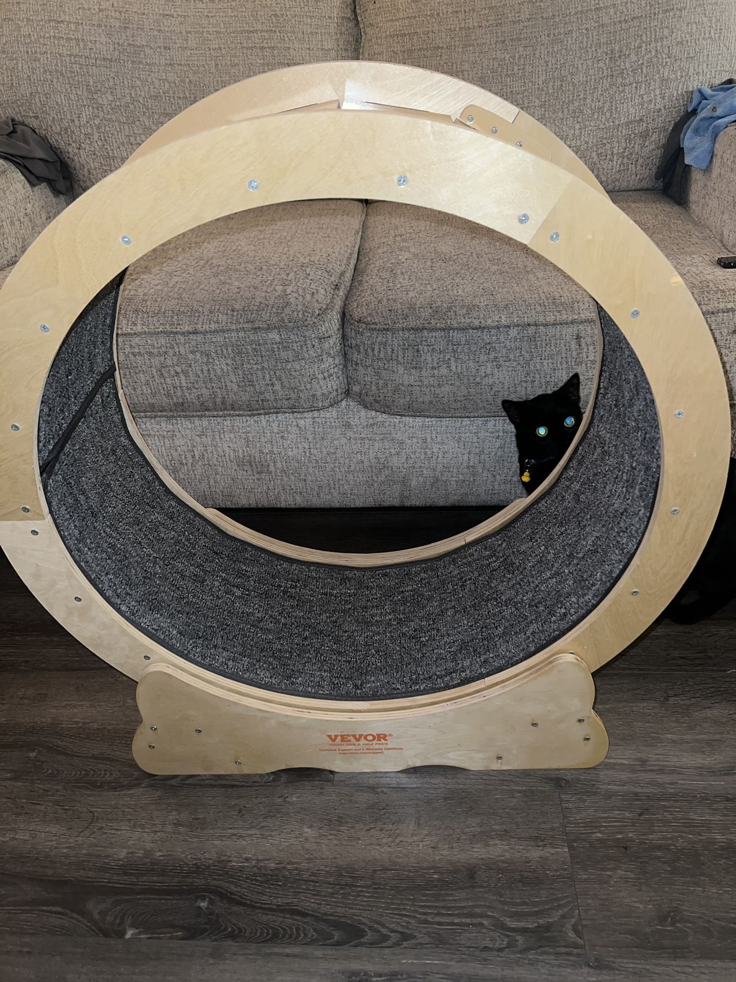Exercise Wheel For Cats