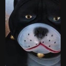 Perro Alcancia Tamaño Jumbo