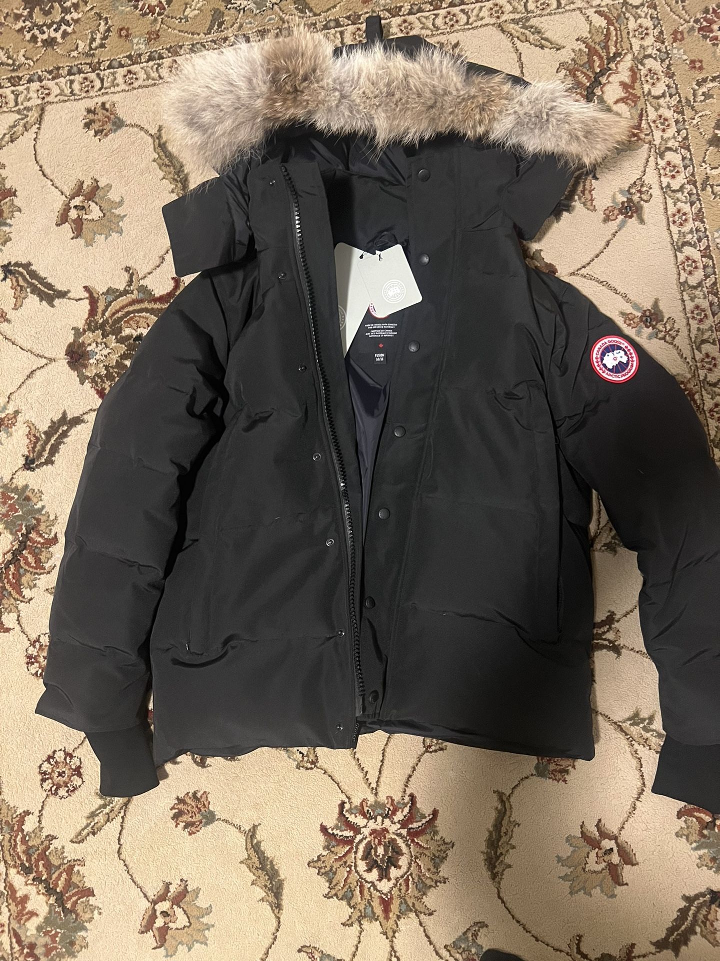 canada goose