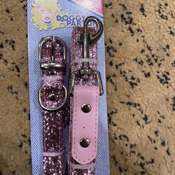 Dog Leash And Collar Medium 