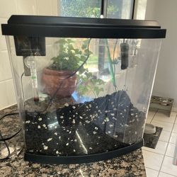 3.5 Gallon Tank, Heater, Filter, And Substrate