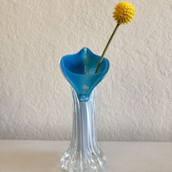 Vintage 1980’s Hand Blown “Jack In The Pulpit” Art Glass Case Fenton?