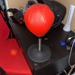 Punching Bag 