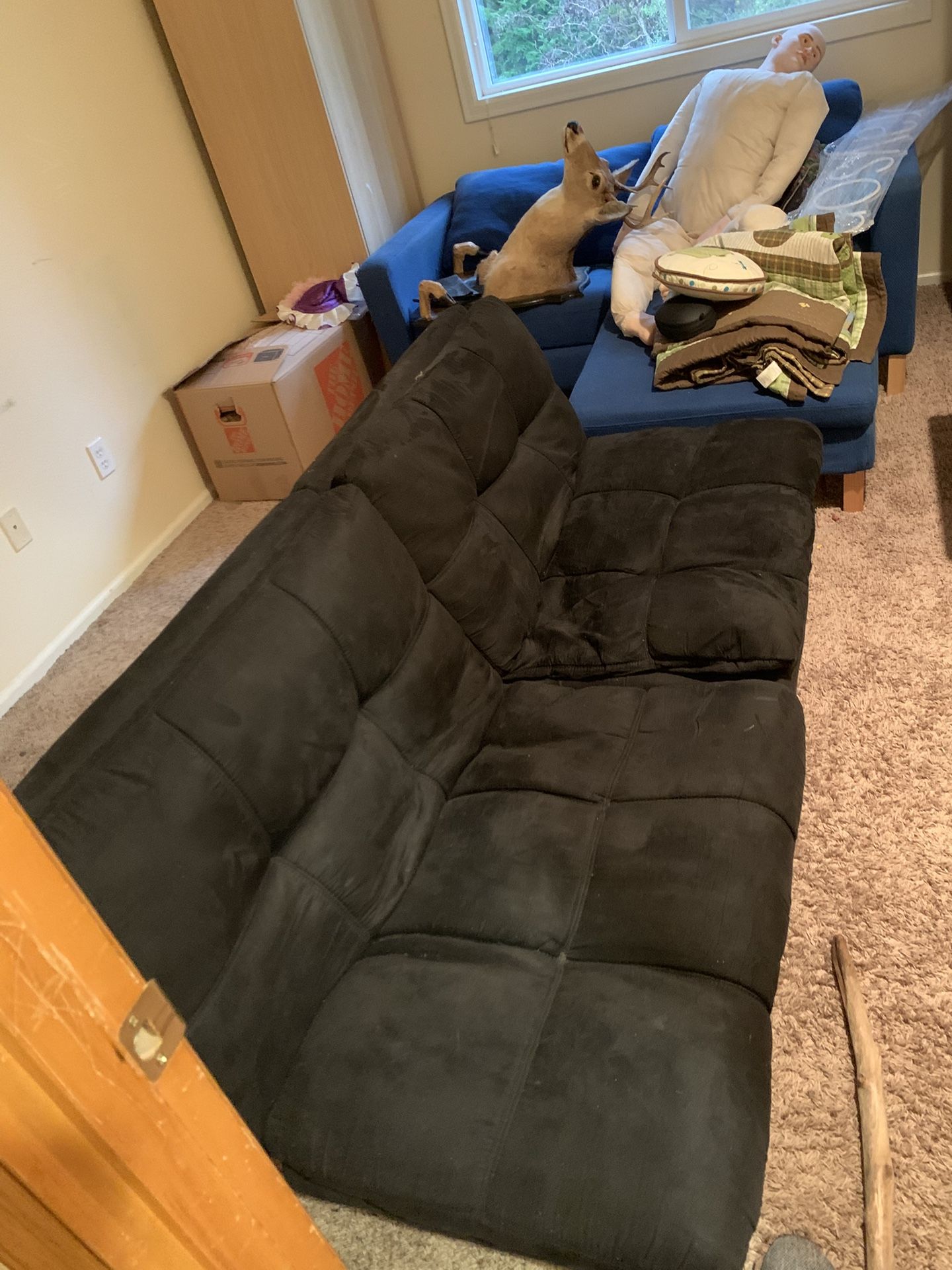 FREE FREE FREE FREE FREE FREE FREE