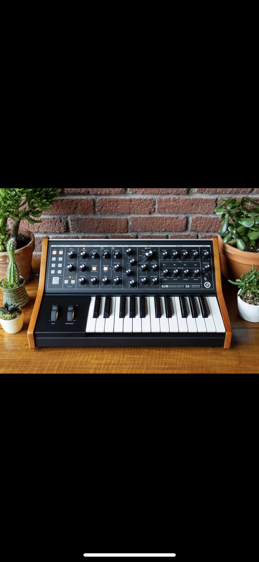 Moog Subsequent 25