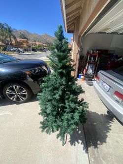 Christmas Tree For Sale