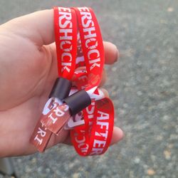 (PENDING SALE) Deftones AFTERSHOCK