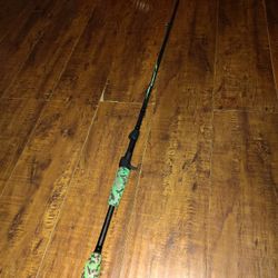 Berley Casting Rod