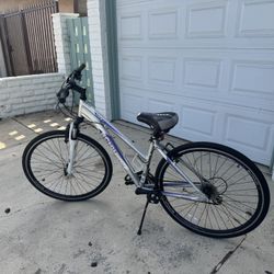 Schwinn GTX3 Bike