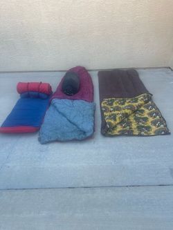 2 sleeping bags and 2 backpack sleeping pads.