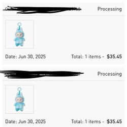 Pre Ordered Labubus (Won’t Be Able To Sell Until Late July)
