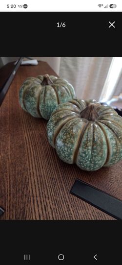 Pumpkin Decorations Roger's Gardens