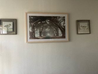 Framed Tree Tunnel Landscape Print