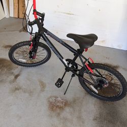Kent Kobra 20 inch mountain bike