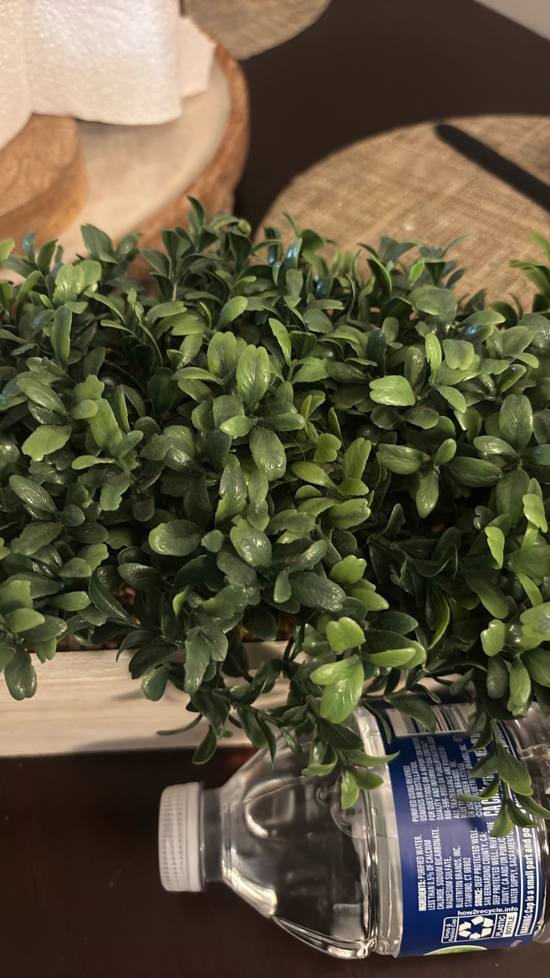 Plant With Base