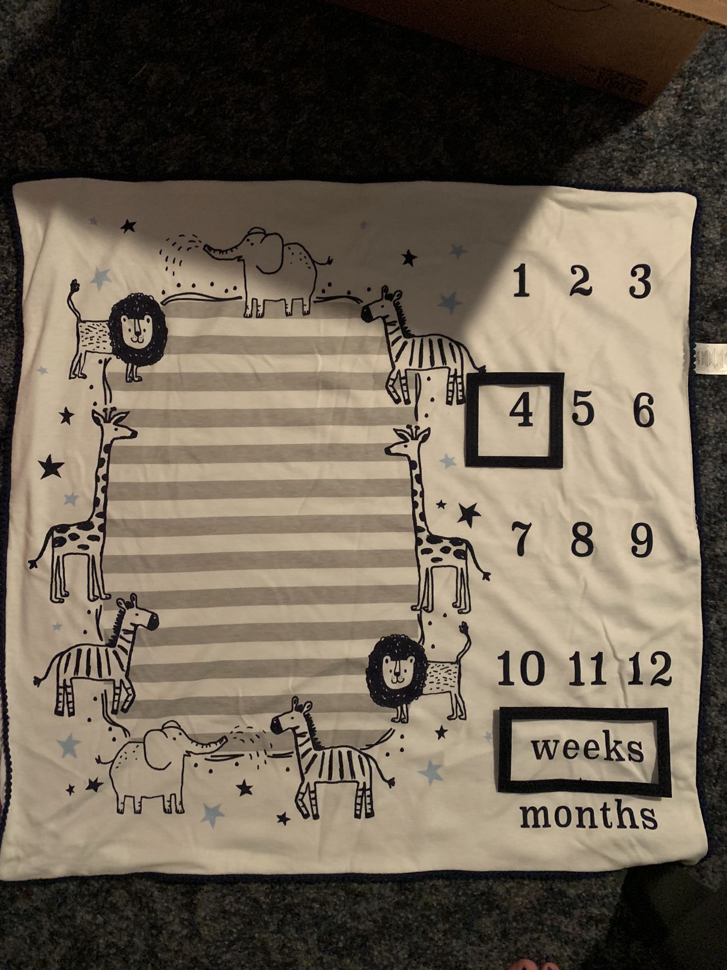 Baby Age Countdown Blanket