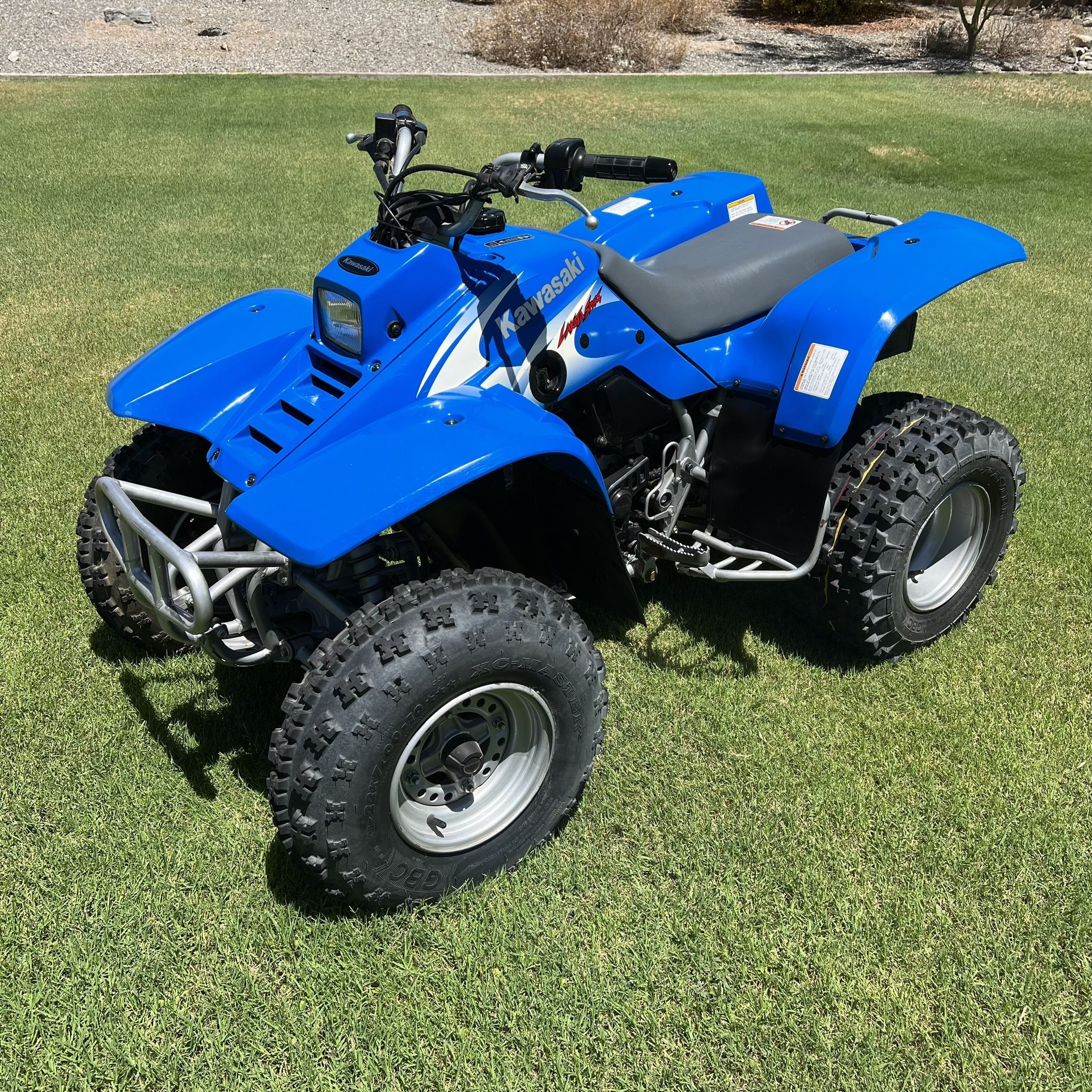 2002 Kawasaki Lakota 300