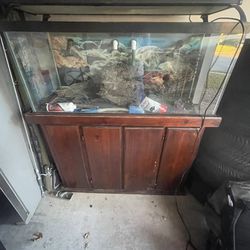 Fish Tank