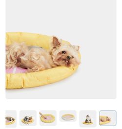 Vetreska Cooling Bed Mat for Pets Dogs Cats, Grapefruit