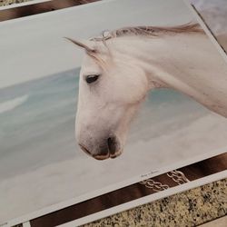 Horse portrait four feet by forty inches