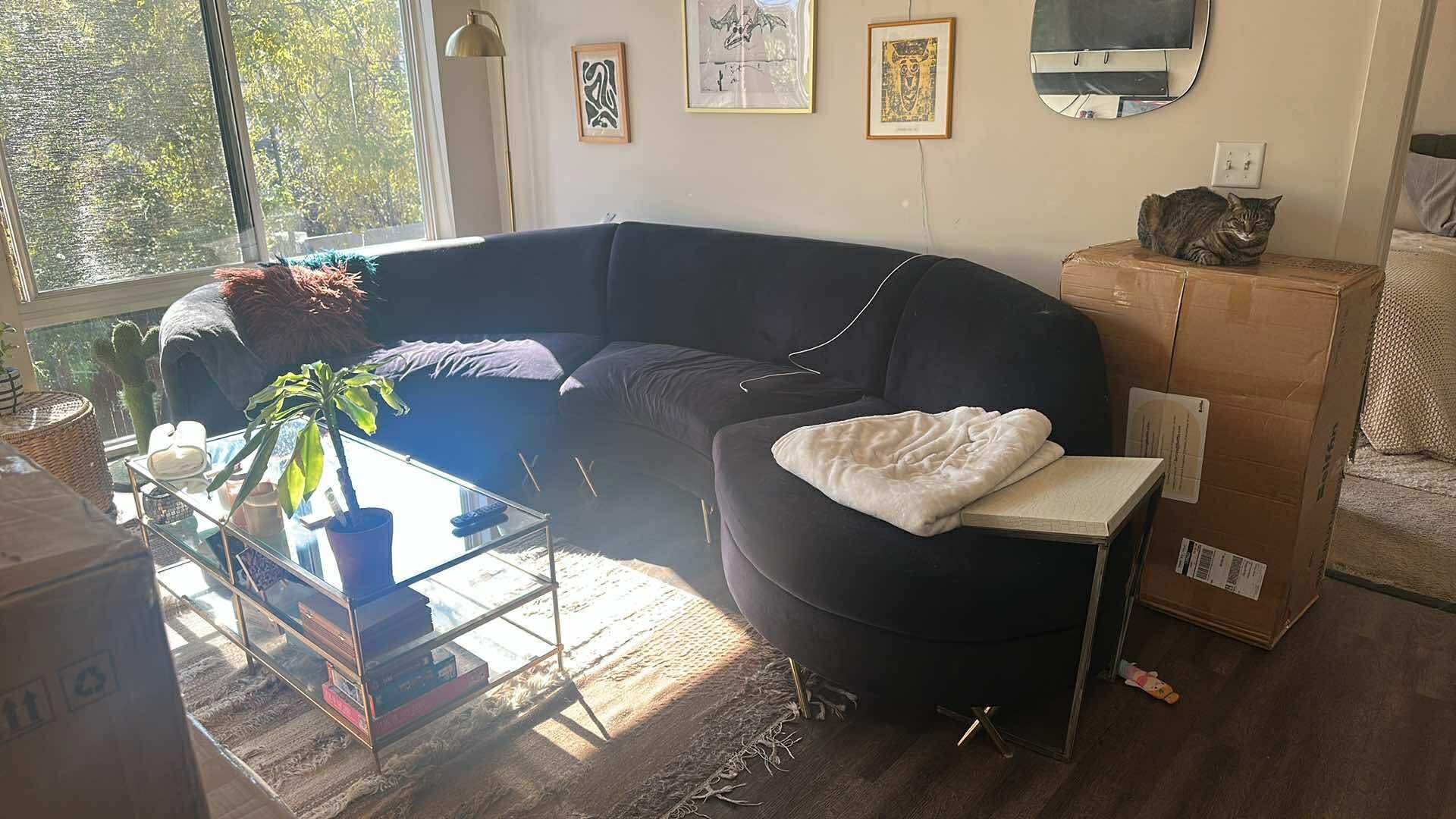 FREE Beautiful Stylish Mid-Century Modern Sofa For FREE - Must Be Gone By Saturday