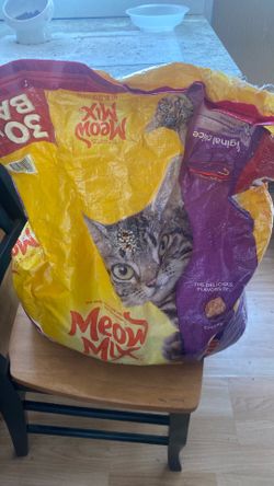 Cat food