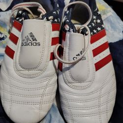 Adidas Karate Shoes