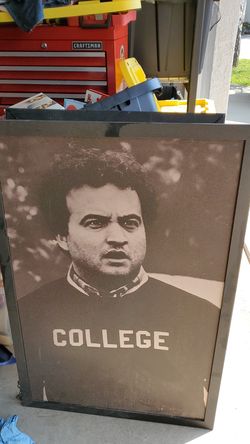 Huge Animal house art grame
