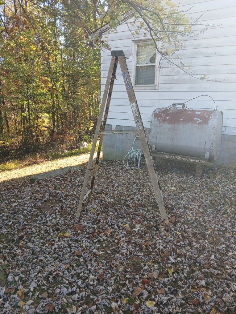 Werner Fiberglass Ladder