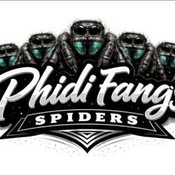 Phidi fangs S "insect home/enclosure"