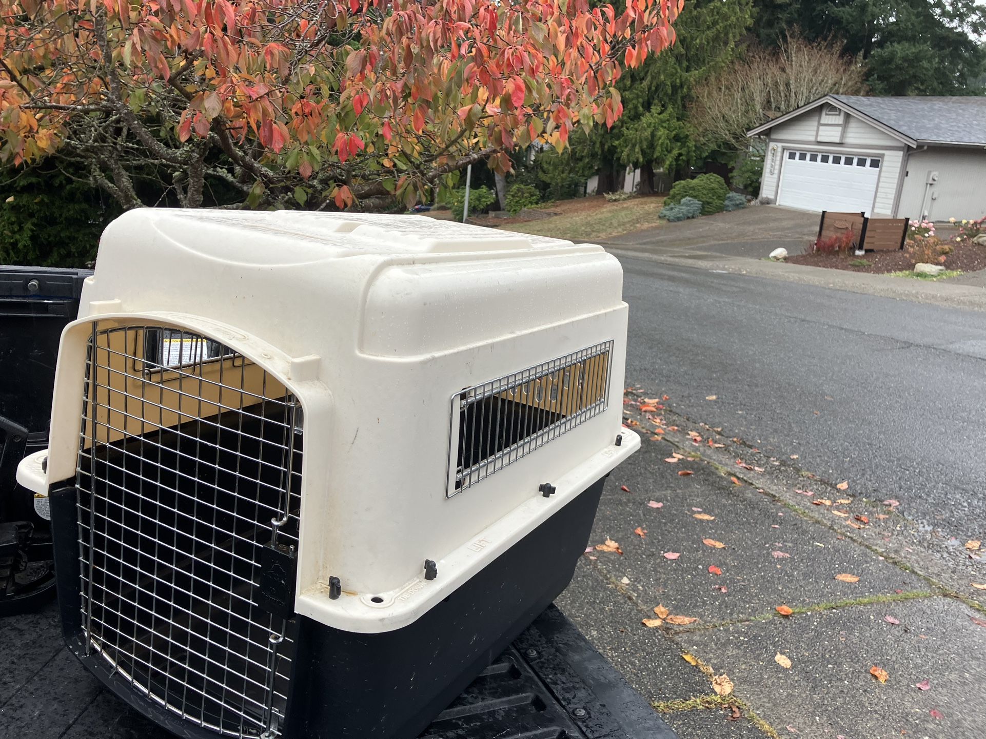 Medium Dog Kennel Crate Carrier Airline Approved like New 32”L by 20” W by 24”