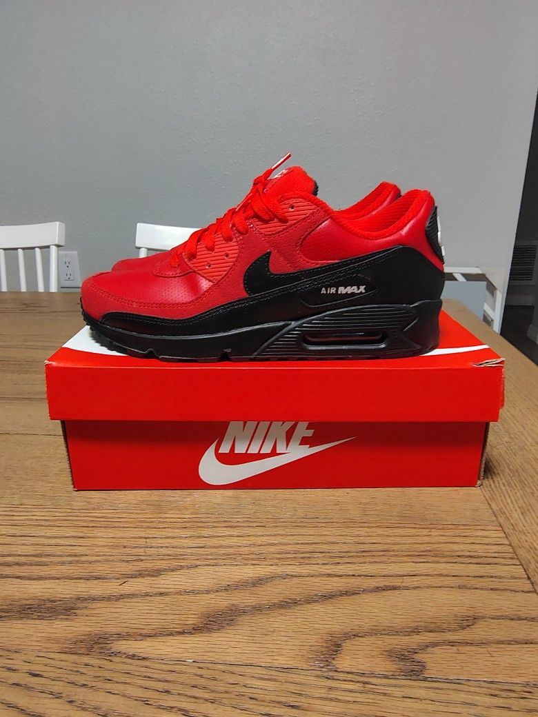 Nike ( Dunks ) Size 11