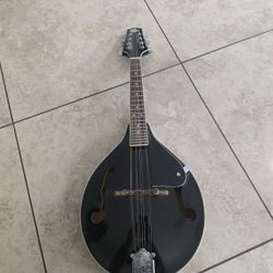 Mandolin 