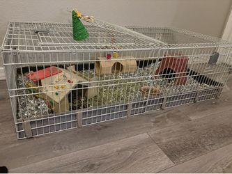 Animal cage (negotiate)
