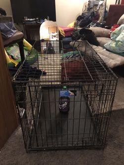 Dog cage
