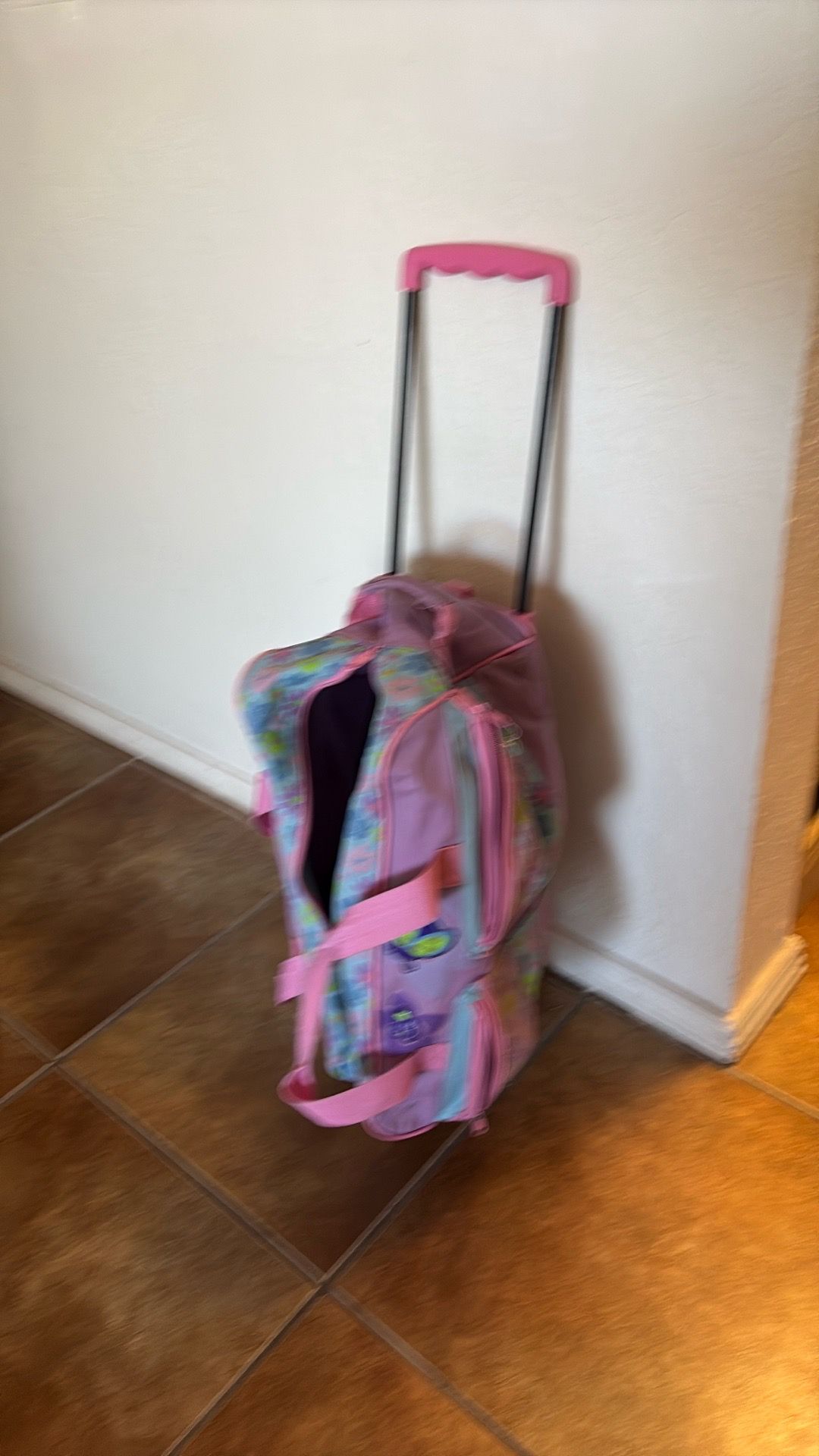 East side, rolling bag, no tears or stains, handle or long handle for rolling