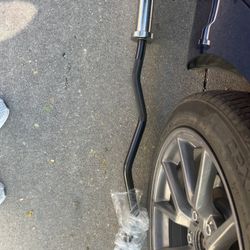 Curl Bar (brand New)