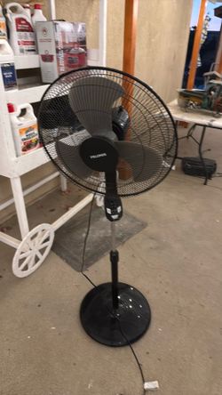 Fan