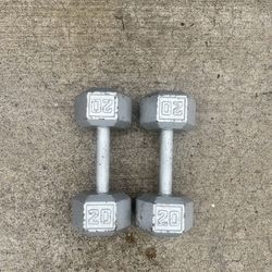 20 Pound Dumbbell Pair