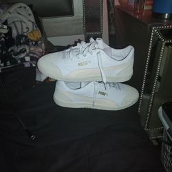 We Got The Puma Shoes