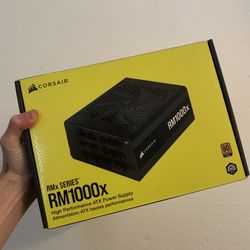 RM1000x