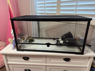 Glass Reptile Terrarium with Screen Lid