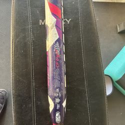 DeMarini Softball Bat -10