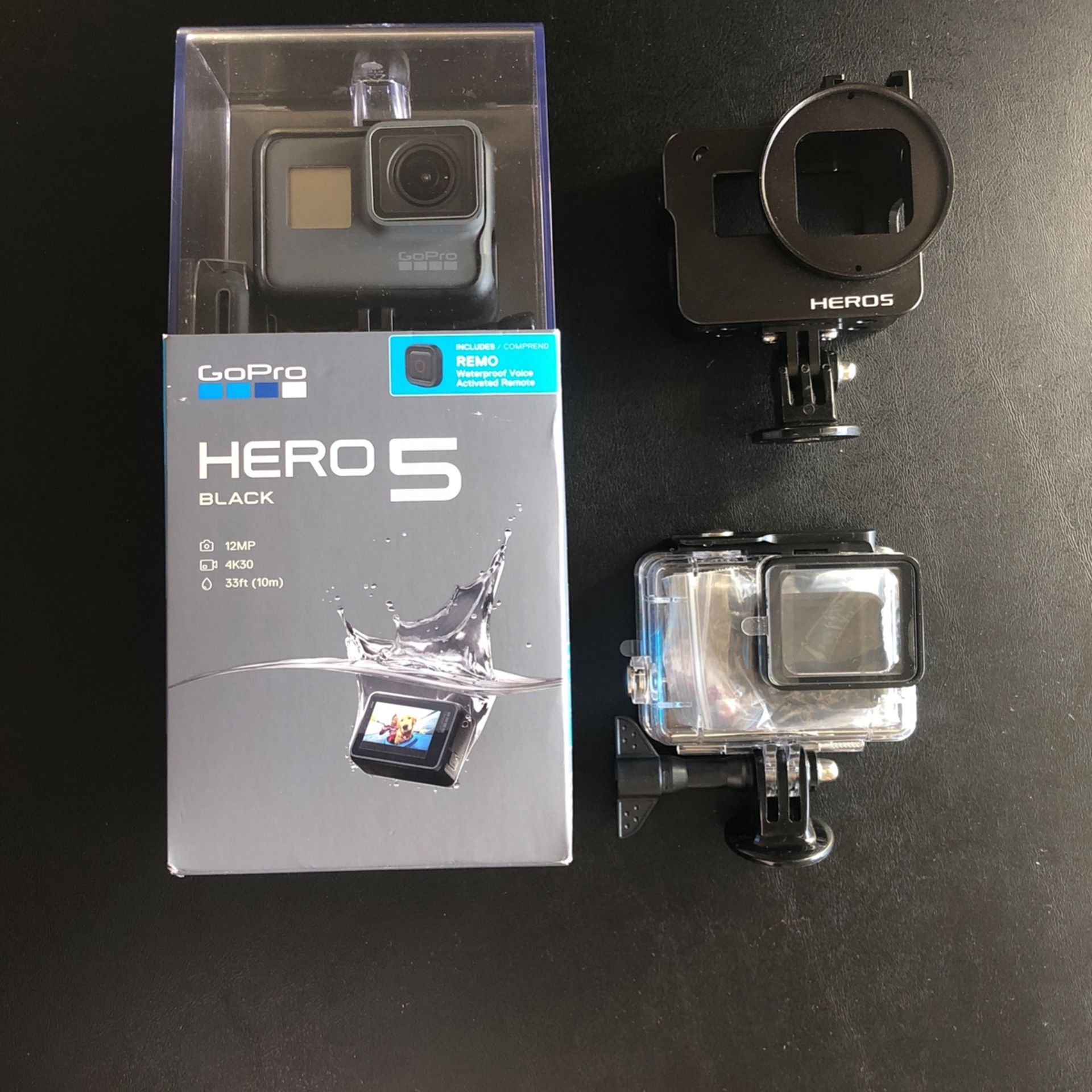 GoPro HERO 5 with REMO Remote - Mint Condition !!