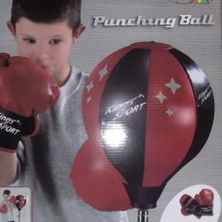 Boxing Training Set