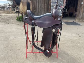 Circle Y Trail Saddle